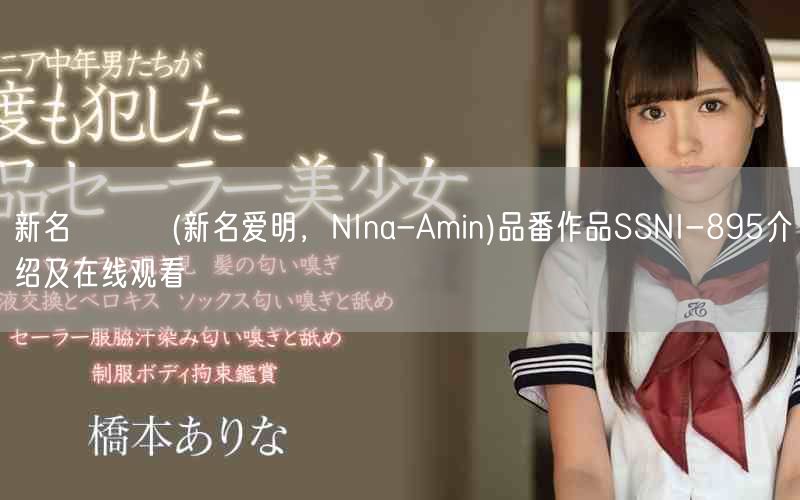 新名あみん(新名愛明，NIna-Amin